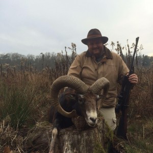 Mouflon Austria