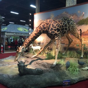 Taxidermy at Safari Club International Convention