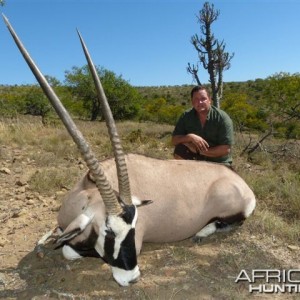 Gemsbok