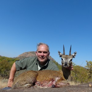 Klipspringer