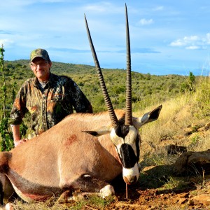 Gemsbok