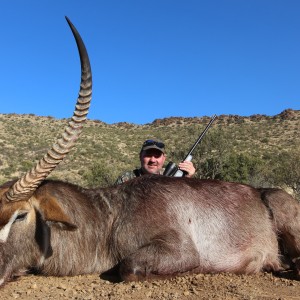 Waterbuck