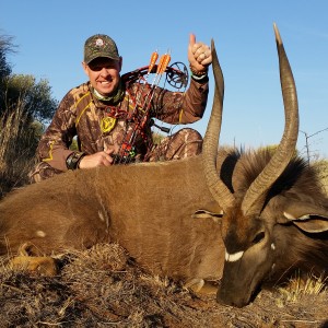 White lion safaris Nyala on foot with bow...