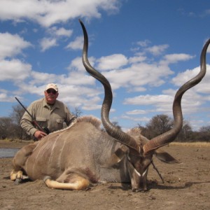 Limpopo Kudu