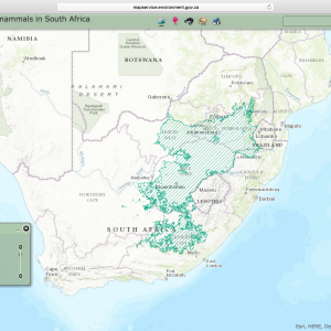 Blesbok Distribution Map South Africa