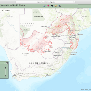 Blue Wildebeest Distribution Map South Africa