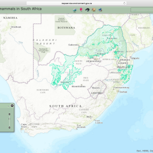 Burchell Zebra Distribution Map South Africa