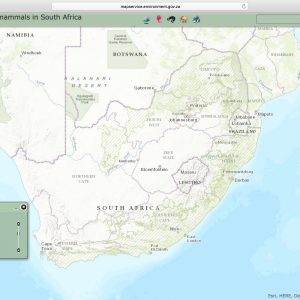Cape Buffalo Distribution Map South Africa