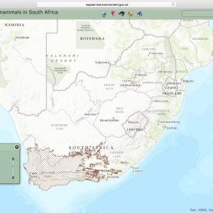 Cape Mountain Zebra Distribution Map South Africa