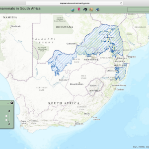 White Rhino Distribution Map South Africa | AfricaHunting.com