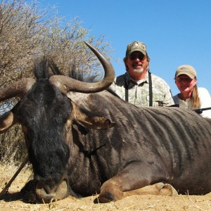 Blue Wildebeest Namibia