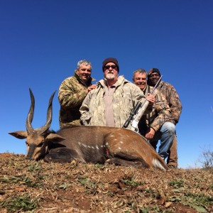 Bushbuck 2016