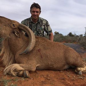 Barbary Sheep Hunt