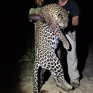 Leopard  Martin Pieters Safaris