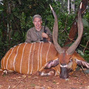 Bongo hunt Congo