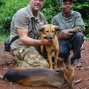 Bay Duiker hunt Congo