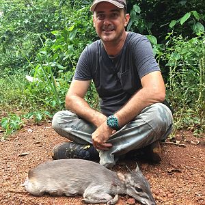 Blue Duiker hunt Congo