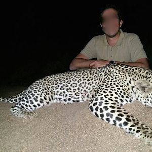 Leopard Hunt in Zimbabwe