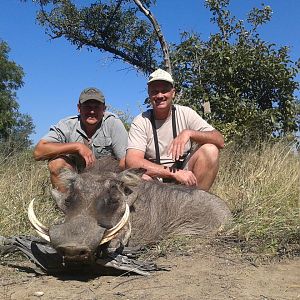 Hunting Warthog Zimbabwe