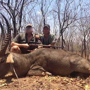 Waterbuck Hunt in Zimbabwe