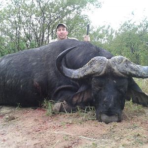 Buffalo Hunt Zimbabwe