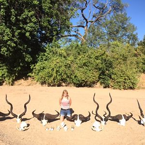 Trophies Zimbabwe Hunt