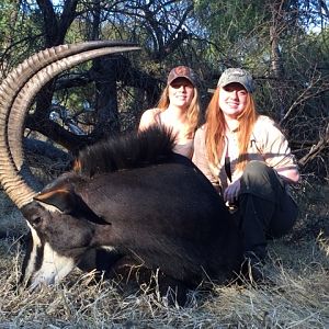 Sable Hunting Zimbabwe