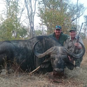 Buffalo Hunting in Zimbabwe