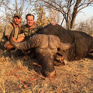 Buffalo Hunting in Zimbabwe | AfricaHunting.com