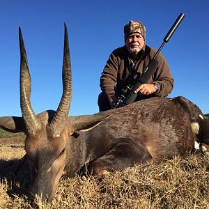 South Africa Hunting Bushbuck