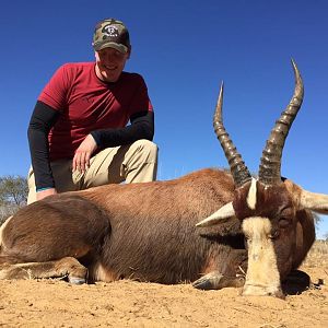 South Africa Blesbuck Hunt