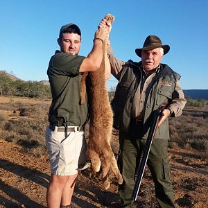 Caracal Hunt South Africa