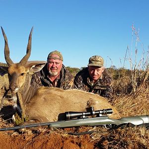 South Africa Hunting Bushbuck