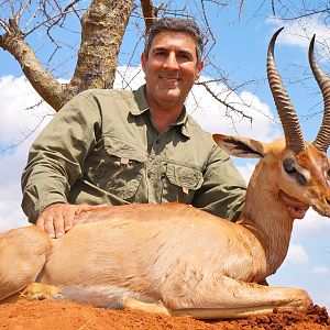 Tanzania Hunt Gerenuk