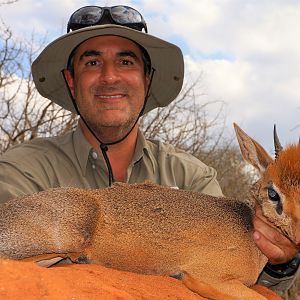 Damara Dik Dik Hunt