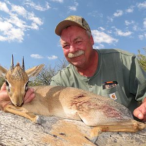 Damara Dik-Dik Hunt Namibia