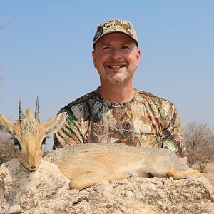 Damara Dik Dik Hunt Namibia