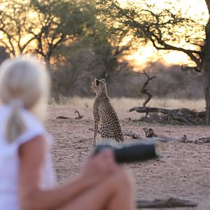 A safari is more than a hunting trip if youre in the right place.