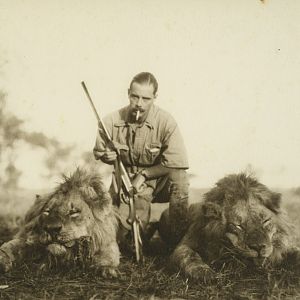 Lion Hunting