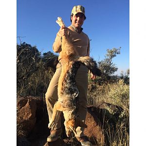 Hunting Jackal South Africa