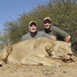 Lioness Hunt South Africa