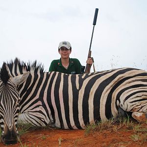 Zebra Hunt South Africa