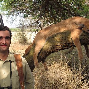 Caracal Hunt South Africa