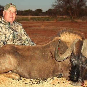 Black Wildebeest Hunting in South Africa