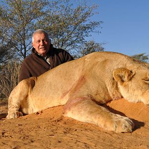 Lioness Hunt South Africa