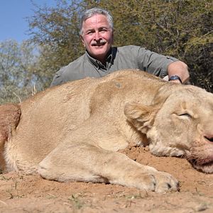 Lioness Hunt South Africa