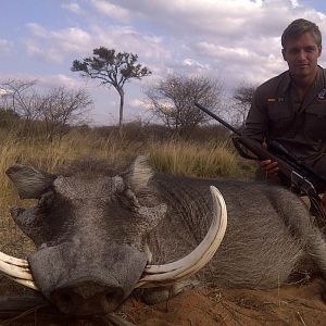 Hunting Warthog in South Africa