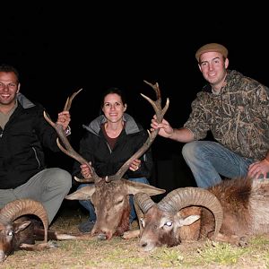 Deer & Mouflon Hunt