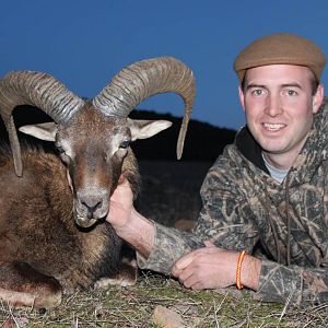 Mouflon Hunt