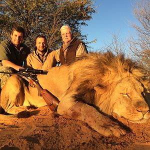 Hunting Lion South Africa